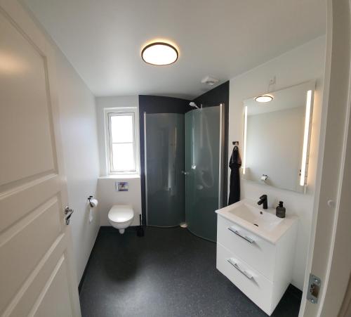 a bathroom with a shower and a sink and a toilet at Sommerhus ved Mossø med søkig in Skanderborg