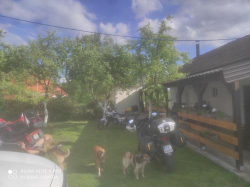 a group of motorcycles parked in a yard with two dogs at Home of nature - kuća prirode in Odžak
