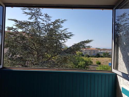 une fenêtre avec vue sur un arbre à l'extérieur dans l'établissement Appartement avec agréable loggia dans résidence privée, à Fréjus
