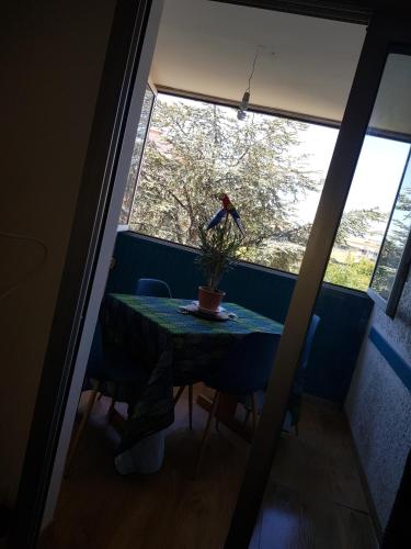 une table avec une plante en pot dans une pièce avec une fenêtre dans l'établissement Appartement avec agréable loggia dans résidence privée, à Fréjus