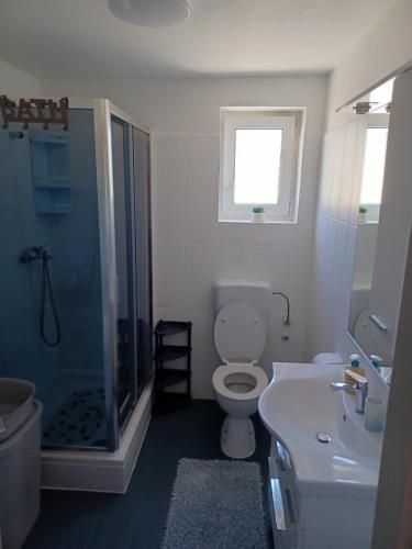 MiletićiにあるHoliday House Jolini Dvoriのシャワー、トイレ、洗面台を備えたバスルーム