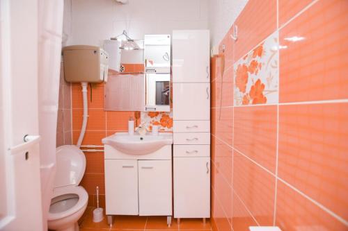 un piccolo bagno con servizi igienici e lavandino di Apartman Jana a Kladovo