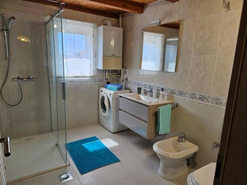 a bathroom with a shower sink and a washing machine at Apartment Štinjan in Pula