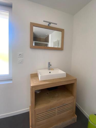 une salle de bain avec un lavabo et un miroir au mur dans l'établissement Maison des Grands Champs, à Saint-Aignan
