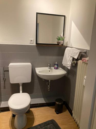La salle de bains est pourvue de toilettes et d'un lavabo. dans l'établissement Balance Apartments by M&A - City Apartment Witzenhausen, à Witzenhausen