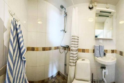 a bathroom with a shower and a toilet and a sink at Captivating Harbor View Suite in Östhammar