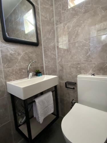 a bathroom with a sink and a toilet and a mirror at Lemon-Ada Butik Otel in Kusadası