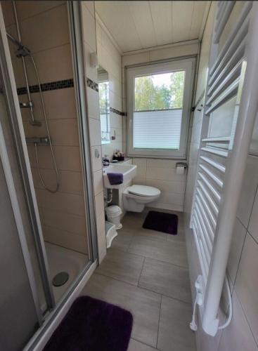 a bathroom with a shower and a toilet and a window at Ferienhaus am See in Zadelsdorf