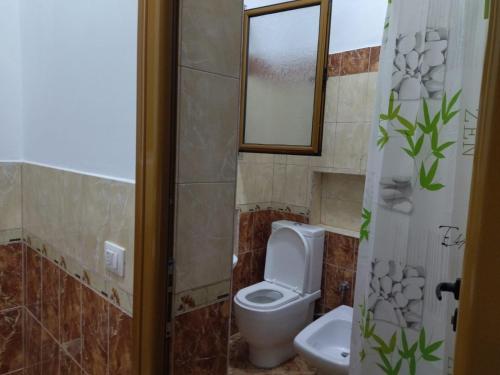 a bathroom with a toilet and a sink at The Garden Guest House in Divjakë