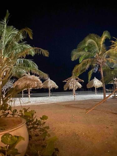 a group of palm trees on a beach at night at Reserva del Mar - Apto con vista al mar in Santa Marta