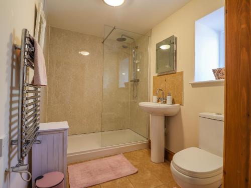 a bathroom with a shower and a toilet and a sink at Gwennol Cottage in Carmarthen