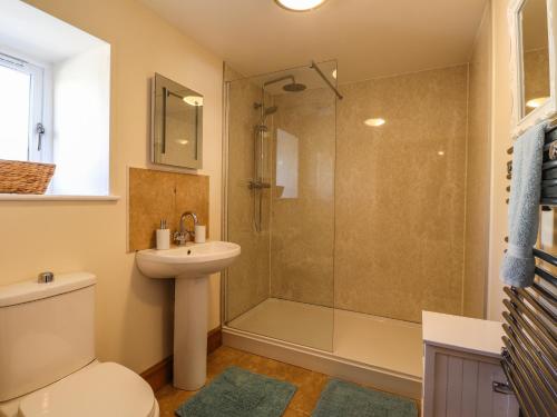 a bathroom with a shower and a toilet and a sink at Barcud Cottage in Carmarthen