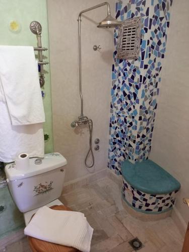 a bathroom with a shower and a toilet and a shower at RIAD LA SANTA in Chefchaouene