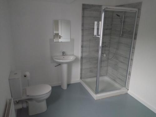 uma casa de banho com um chuveiro, um WC e um lavatório. em Cornacarta Holiday House em Boyle