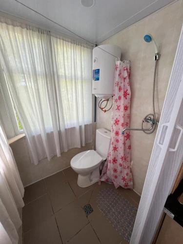 a small bathroom with a toilet and a shower at База відпочинку Енергія in Rudnya Peskovskaya