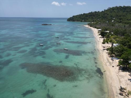 an aerial view of a beach with boats in the water at POSADA ALEENY in Providencia