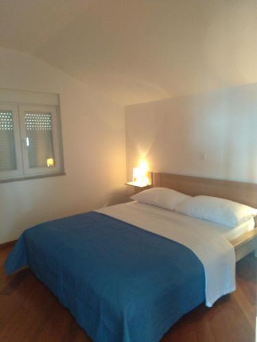 een slaapkamer met een groot bed en een blauwe deken bij Apartmani Binka in Petrcane