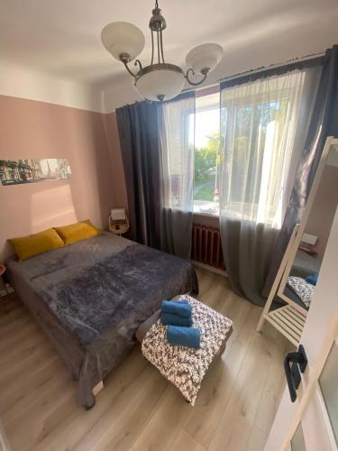 a bedroom with a bed and a window and a mirror at Quiet and peaceful apartment close to the city center in Rīga