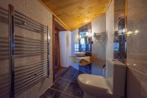 a bathroom with a toilet and a sink at Şerbetçi Garden Konak in Safranbolu