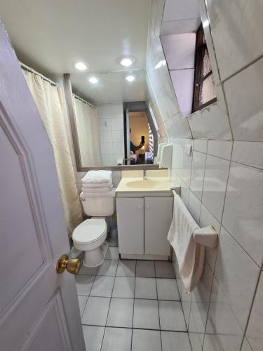 a bathroom with a toilet and a sink and a mirror at Frente Al Parque Arauco in Santiago