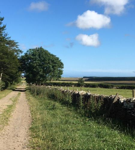 a dirt road next to a stone wall at Caithness View Luxury Farm Lodges and BBQ Huts in Wick