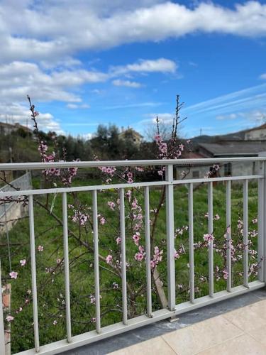 a white fence with pink flowers on a field at Casa da Celeste in Vale do Pereiro