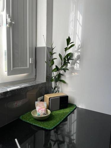 a green table with a plate and a radio on it at Casa da Celeste in Vale do Pereiro