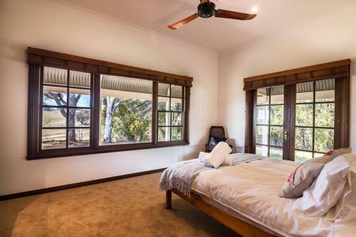 Schlafzimmer mit einem Bett mit Fenstern und einem Deckenventilator in der Unterkunft Griffin Getaway in Orange