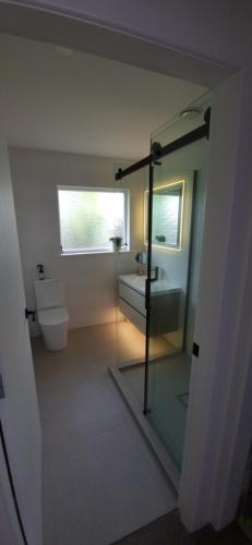 a bathroom with a shower and a toilet and a sink at Inner City 2 Bedroom Unit in Hamilton