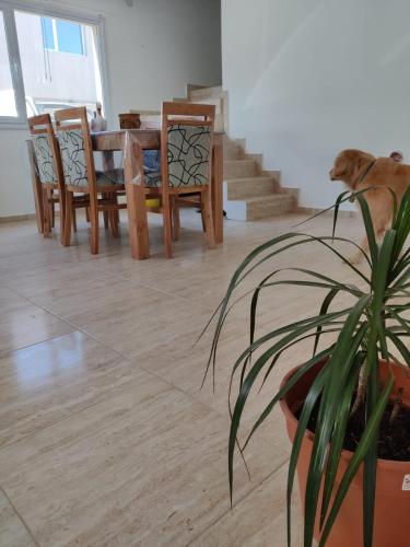 Gambar di galeri bagi Duplex Bosch di Neuquén