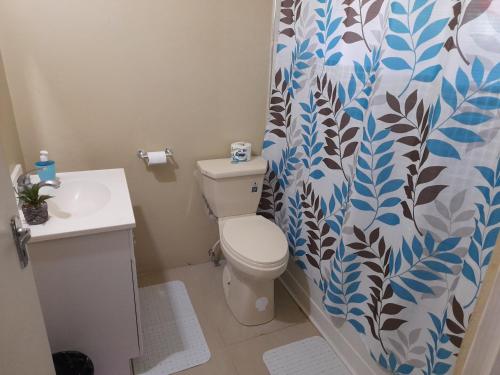 uma casa de banho com um WC e uma cortina de chuveiro em Loodik Vacation Home Brompton Manor em Black River