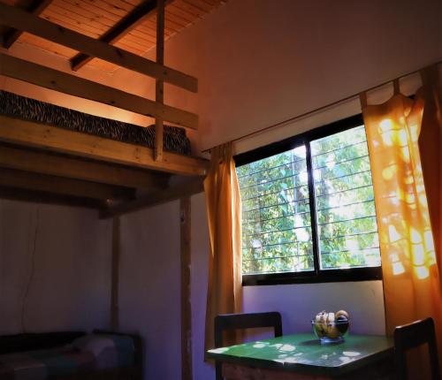 Colibrí Apart – Photos 5