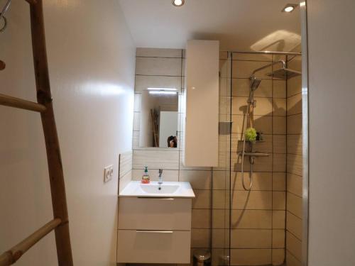 une salle de bain avec un lavabo et une douche dans l'établissement Appartement T2 avec Terrasse et Piscine au Grau-du-Roi, Proche Mer et Commerces - FR-1-307-237, au Grau-du-Roi