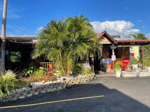 a building with a palm tree in front of it at Red Flamboyan Guesthouse and Restaurant in Rincon