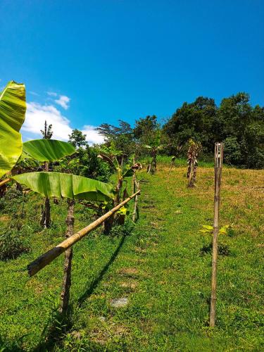 a fence in a field with a banana tree at Cabaña en el Campo in La Vega