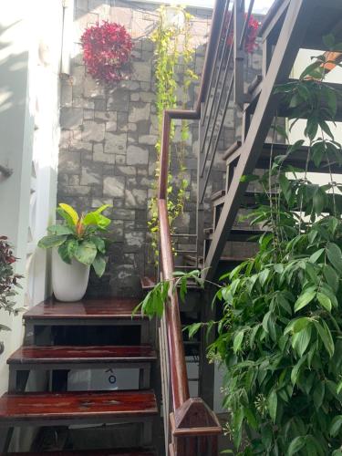 a set of stairs with plants on them at Nana Homestay & Villa in Hue