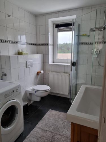 a bathroom with a toilet and a sink and a washing machine at Horsea in Großringe