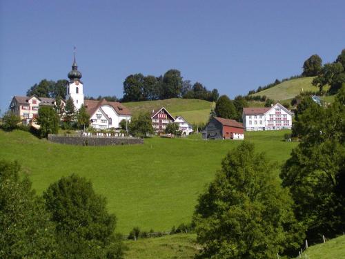 ein Dorf auf einem grünen Hügel mit einer Kirche in der Unterkunft Gasthaus Bären Schlatt in Appenzell