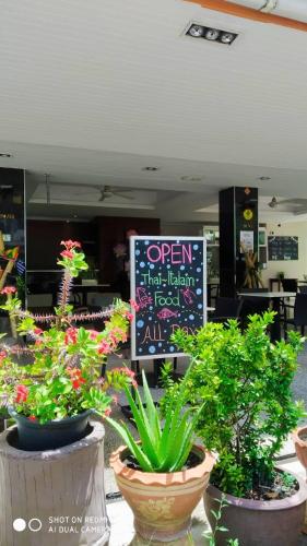 un gruppo di piante in vaso di fronte a un negozio di Kata Beach Studio Phuket a Kata Beach