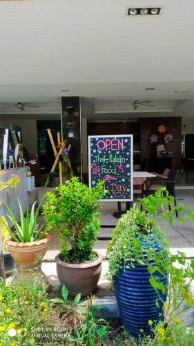 un gruppo di piante in vaso di fronte a un negozio di Kata Beach Studio Phuket a Kata Beach