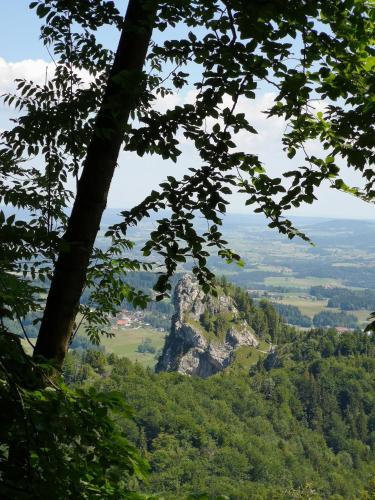 a view of a mountain through the trees at Good times @ Salzburg in Habach