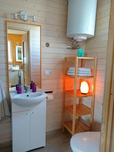 a bathroom with a sink and a toilet at Agroturystyka - Stajnia Bursztynowa in Puck