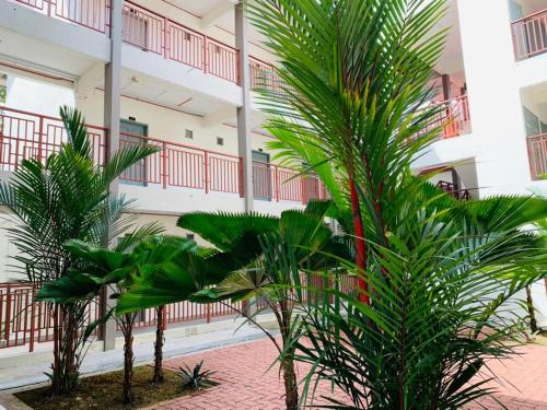 a courtyard with palm trees in front of a building at Hotel Seri Malaysia Seremban in Seremban