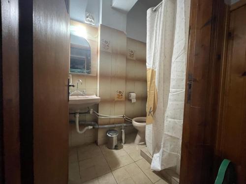 ein kleines Bad mit WC und Waschbecken in der Unterkunft The Beehive 2 in Mytilini