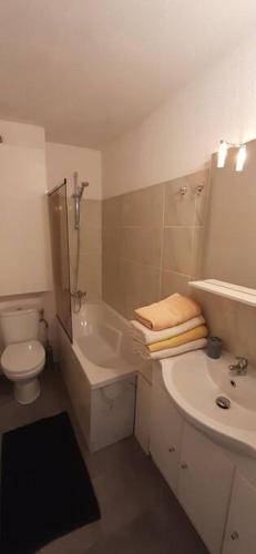 une salle de bain avec un lavabo, des toilettes et une douche dans l'établissement Studio cosy à Nice, à Nice