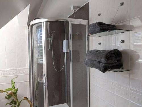 a bathroom with a shower with a glass door at Appletree House 
