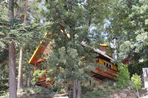 a house in the middle of a forest at NIMA Navacerrada in Navacerrada