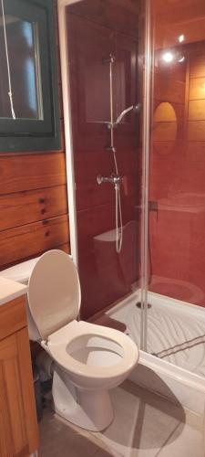 ein Bad mit einem WC und einer Dusche in der Unterkunft CAMPING ONLYCAMP LA ROSERAIE in Descartes