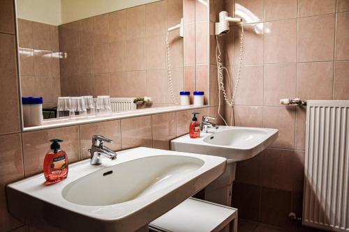 W łazience znajduje się umywalka i lustro. w obiekcie Hotel Reinisch w mieście Köflach