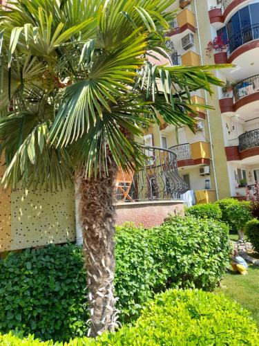 Cozy apartment in Oba! 5 minutes to the sea